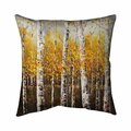 Begin Home Decor 20 x 20 in. Birches by Sunny Day-Double Sided Print Indoor Pillow 5541-2020-LA31